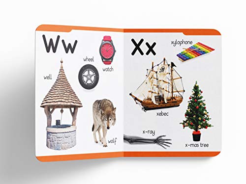 My First Padded Book of Alphabet: Early Learning Board Book for Kids | Learn ABC with Bright and Colorful Pictures | Durable Padded Board Book for Babies, Toddlers & Preschoolers | Ages 0–5 Years (Hardcover)