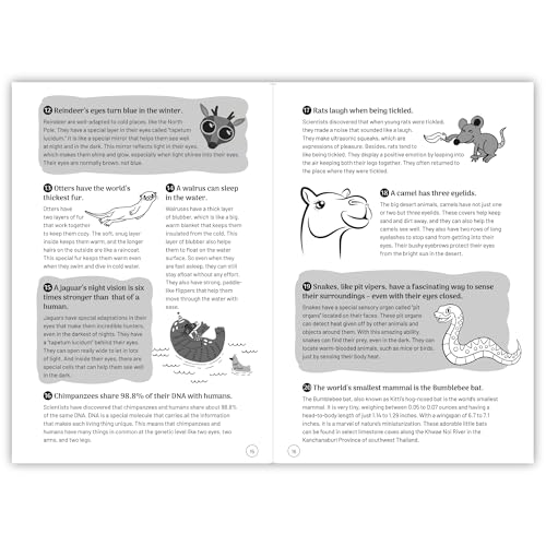 Interesting Facts for Curious Kids: 1000 Amazing Facts about Human Body, Animals, Space, History, Inventions, Science and Technology to Spark Curiosity in Kids, Toddlers | Book for 5+ [Select Learning (Paperback)