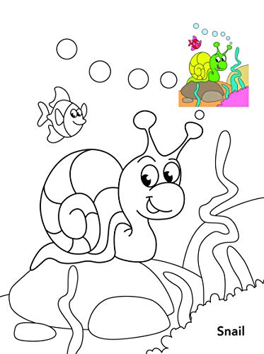 Colouring book : Copy Colouring Book Sea Animals (Colouring book for kids) (Paperback)