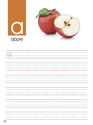 Activity Book : All in One Learn to Write Activity Book: ABC (Paperback)