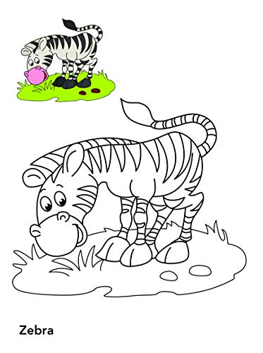 Colouring book : Copy Colouring Book Animals (Colouring book for kids) (Paperback)