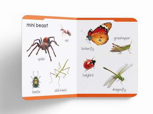 Early Learning Padded Book of Animals: Board Book for Kids | Learn About Wild Animals, Farm Animals, Pets & Birds with Bright, Engaging Pictures | Durable Padded Board Book for Babies, Toddlers & Pres (Board book)