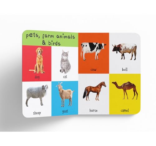 My First 4 in 1: Wild Animals, Pet & Farm Animals, Birds, Sea Animals | Padded Board Book for Kids | Learn About Different Animals with Bright, Engaging Pictures | Early Learning Book for Babies, Todd (Hardcover)