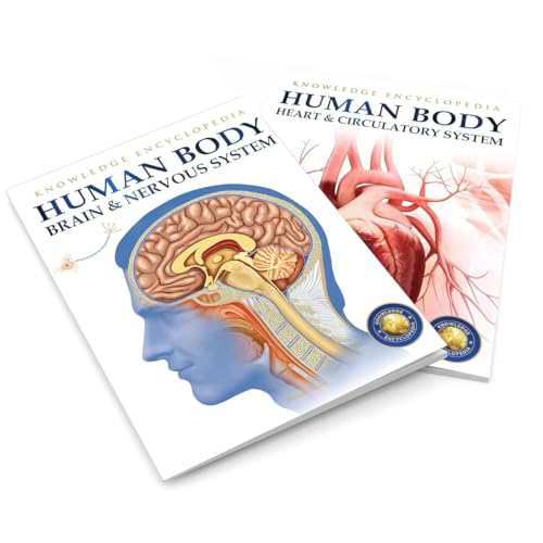 Human Body Box Set: Knowledge Encyclopedia For Children (Paperback)