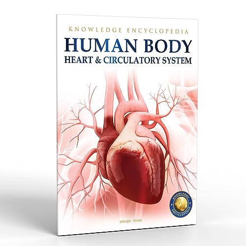 Human Body - Heart And Circulatory System: Knowledge Encyclopedia For Children (Paperback)