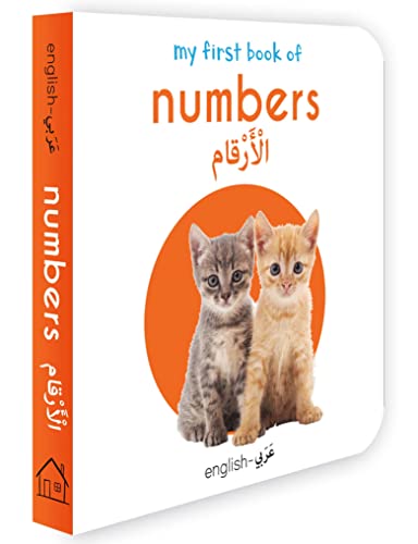 My First English-Arabic Learning Library: Bilingual Boxset of 10 Picture Board Books for Kids - Covers Basic Concepts and Everyday Topics (Board book)