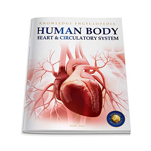 Human Body - Heart And Circulatory System: Knowledge Encyclopedia For Children (Paperback)