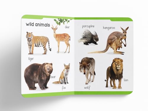 Early Learning Padded Book of Animals: Board Book for Kids | Learn About Wild Animals, Farm Animals, Pets & Birds with Bright, Engaging Pictures | Durable Padded Board Book for Babies, Toddlers & Pres (Board book)