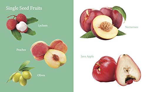 My First Book of Fruits for Children: Fruit Names with Realistic Images | Early Word Recognition | Fun Introduction to Healthy Eating | Learn and Name Fruits with Joy | Colourful Learning Journey for  (Hardcover)