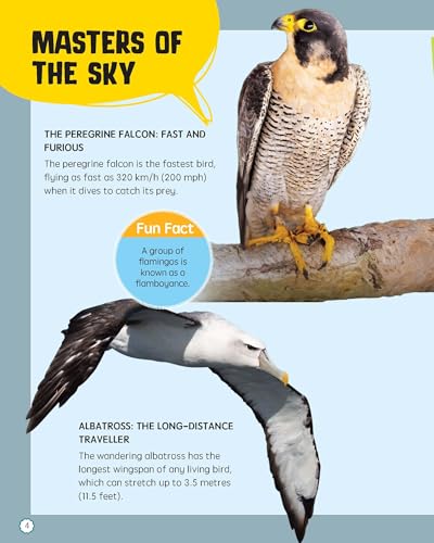 Must Know 100 Facts About Birds (Paperback)