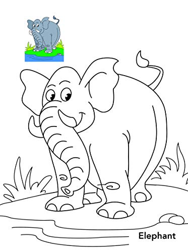 Colouring book : Copy Colouring Book Animals (Colouring book for kids) (Paperback)