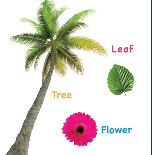 First Word Touch and Feel Board Book for Children: First Words with Sensory Fun in Every Turn | Early Word Recognition | First Vocabulary Skills with ... Learning for Babies (Large Print Story Book) (Hardcover)