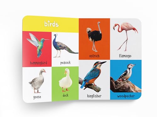 My First 100 Animals and Birds: Board Book for Kids | Part of My 100 Library Series | Learn Names of Wild Animals, Farm Animals, Pets & Birds with Bright Pictures | Early Learning Book for Babies, Tod (Board book)