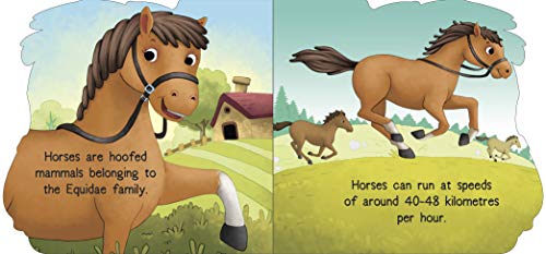 Board Book : Horse ( Animals and Birds ) - Cutout Board Books (Board book)