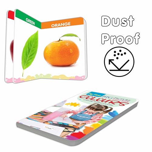 My First Big Picture Board Book Colours :- Identify Everyday Colours Easily, Fun Learning Book for Kids, Early Visual Education for Preschoolers (Board book)