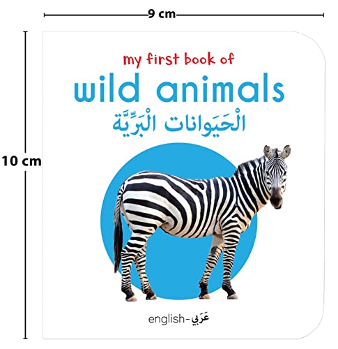My First English-Arabic Learning Library: Bilingual Boxset of 10 Picture Board Books for Kids - Covers Basic Concepts and Everyday Topics (Board book)