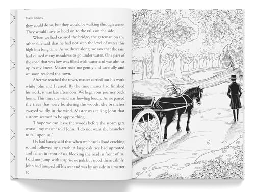 Black Beauty: Illustrated Abridged Children Classics English Novel With Review Questions (Hardback) (Hardcover)