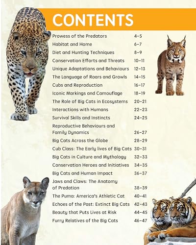 Must Know 100 Facts About Big Cats (Paperback)