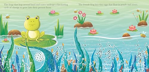 Board Book: Watch Me Grow! Frog- Activity Book for Children Age 3-5 Years (Board book)