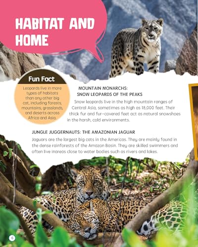 Must Know 100 Facts About Big Cats (Paperback)