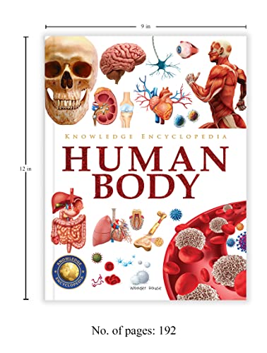 Knowledge Encyclopedia - Human Body (Hardcover)