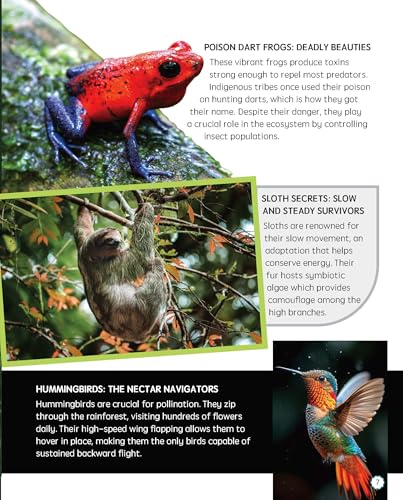 Must Know 100 Facts About Rainforest (Paperback)