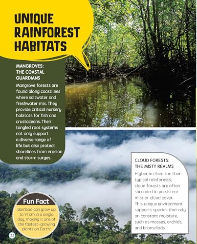 Must Know 100 Facts About Rainforest (Paperback)