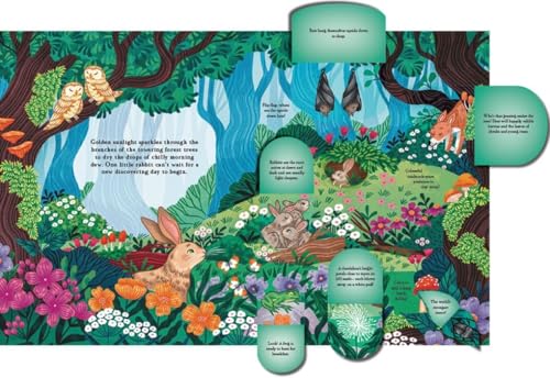 Hide And Find In The Forest (Hardcover)