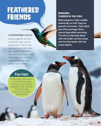 Must Know 100 Facts About Animal Life (Paperback)