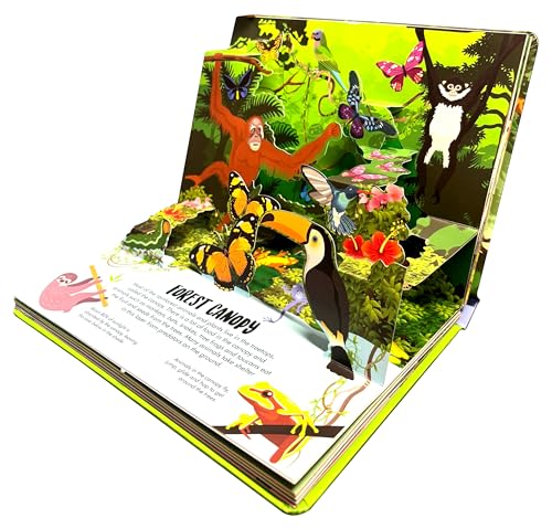 Pop Up Forest Book for Kids: Autumn, Mangroves, Rainforests & Discover the World of Forest | Journey Nature’s Wonders | Interactive Learning | ... | Adventure Fun Facts for Little Scholars (Hardcover)