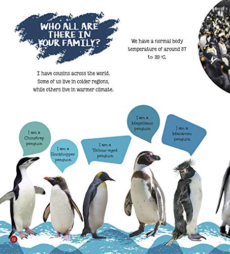 Penguin : Its Me Penguin ( Animal Encyclopedia) (Paperback)