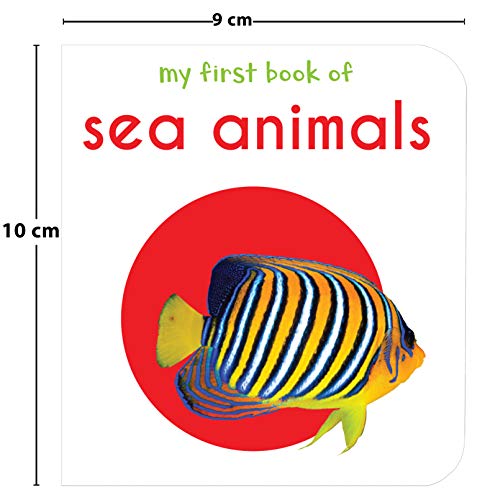 My First Library Pack 2: Boxset of 10 Board Books for Kids (Pack 2) | Includes Baby Objects, Baby Animals, Opposites, People at Work, Flowers, Food, Sea Animals, Things at Home, About Me & Toys | Earl (Board book)