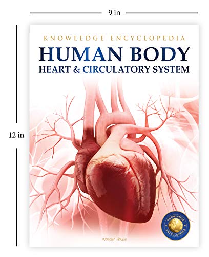 Human Body - Heart And Circulatory System: Knowledge Encyclopedia For Children (Paperback)