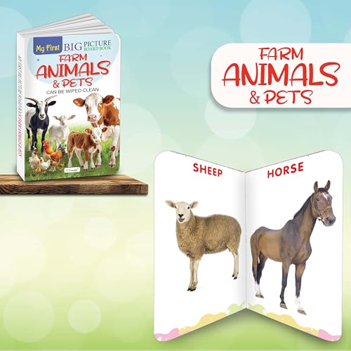 My First Big Picture Board Book ABC AND Farm Animals & Pets : Educational books for preschoolers, Preschool learning books for kids, Early learning picture books | Pack of 2 board books (Board book)