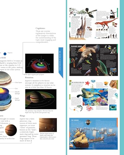 The Big Book of Knowledge - A Complete Guide to Facts, Trivia, Science, History & More (Flexibound)