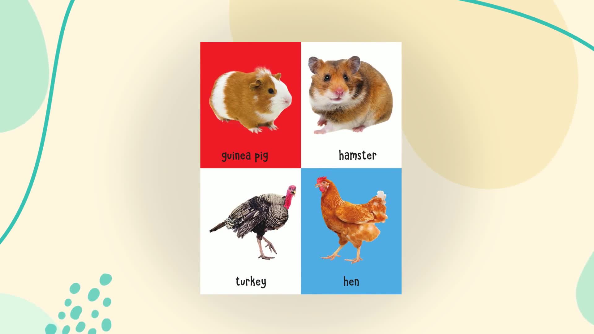 My First 4 in 1: Wild Animals, Pet & Farm Animals, Birds, Sea Animals | Padded Board Book for Kids | Learn About Different Animals with Bright, Engaging Pictures | Early Learning Book for Babies, Todd (Hardcover)