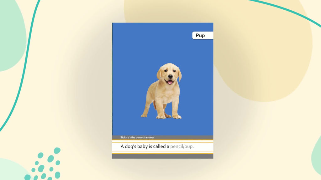 My First Book of Farm Animals for Children: Early Learning with Cows, Horses, Ducks & More | Friendly Creatures on the Farm | Bright Pictures and Simple Names | Develop Vocabulary & Recognition | Inte (Board book)