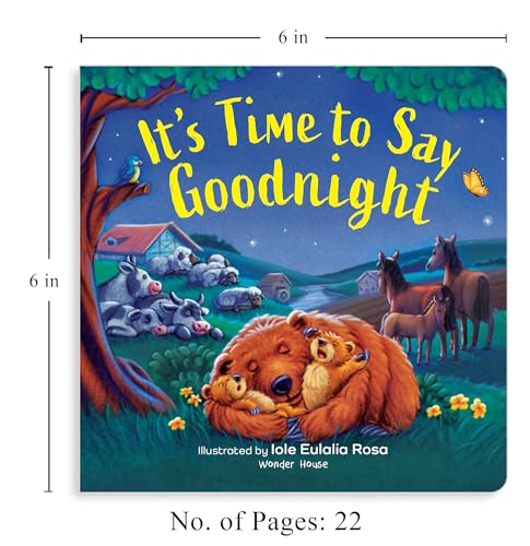 It’s Time to Say Goodnight (Board book)