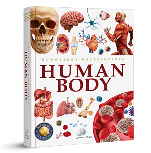 Knowledge Encyclopedia - Human Body (Hardcover)
