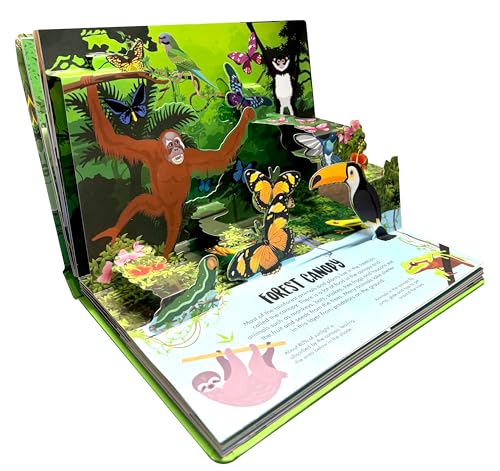 Pop Up Forest Book for Kids: Autumn, Mangroves, Rainforests & Discover the World of Forest | Journey Nature’s Wonders | Interactive Learning | ... | Adventure Fun Facts for Little Scholars (Hardcover)