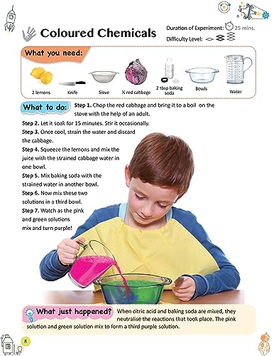 SCIENCE EXPERIMENTS CHEMICAL REACTIONS (Paperback)