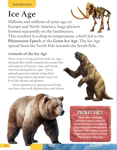 My First History Encyclopedia - Encyclopedia for Children (My First Encyclopedia) (Paperback)