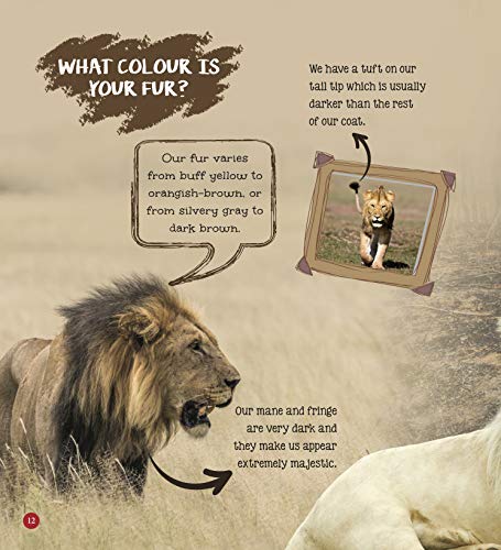 Lion : Its Me Lion ( Animal Encyclopedia) (Paperback)