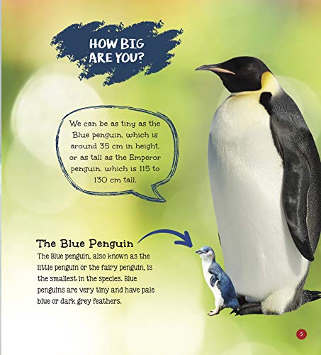 Penguin : Its Me Penguin ( Animal Encyclopedia) (Paperback)