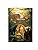 The Jungle Book: Illustrated Abridged Children Classics English Novel With Review Questions (Hardback)