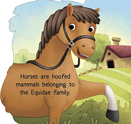 Board Book : Horse ( Animals and Birds ) - Cutout Board Books (Board book)