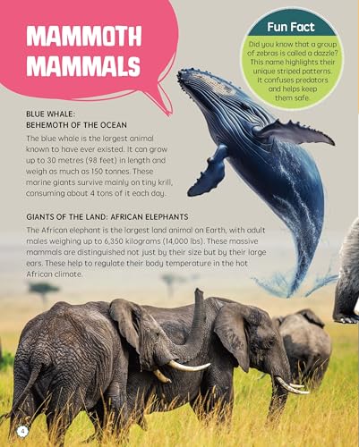 Must Know 100 Facts About Animal Life (Paperback)