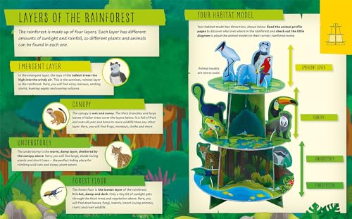 My Incredible Rainforest Expedition (Explorer Book + Model Kit) (Paperback)
