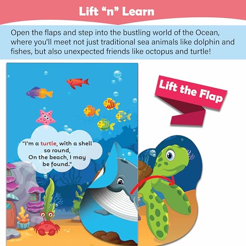 Under the Ocean Flap Book: Flap Book for Children, Colorful Underwater, Early Learning Adventure, learning book for kids for Ages 3-12 (Paperback)
