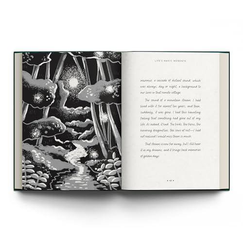 Life's Magic Moments (Hardcover)